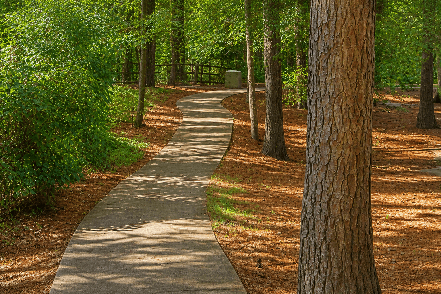 Great Neck, Virginia Beach