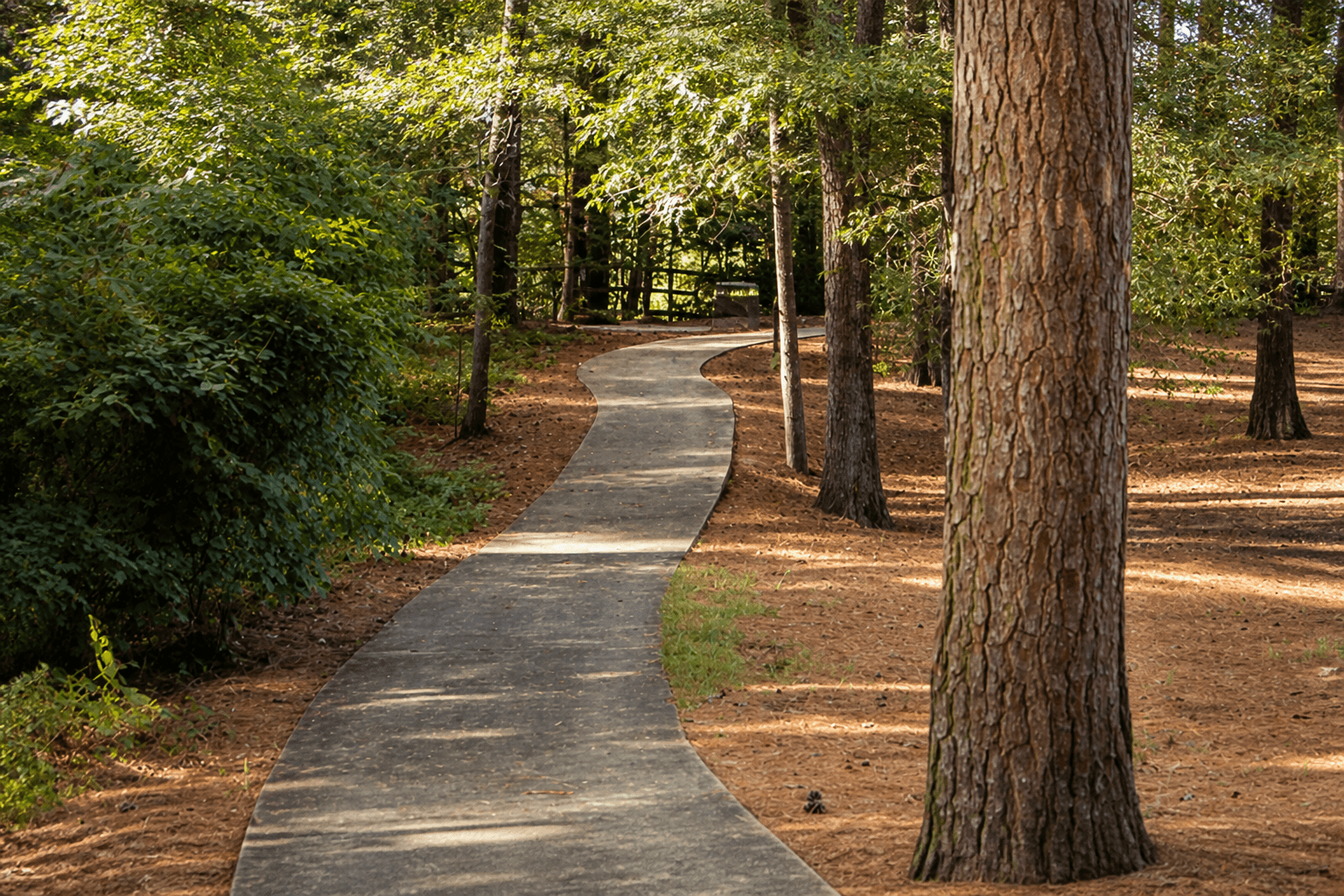Tree-lined residential street in Great Neck, Virginia Beach
