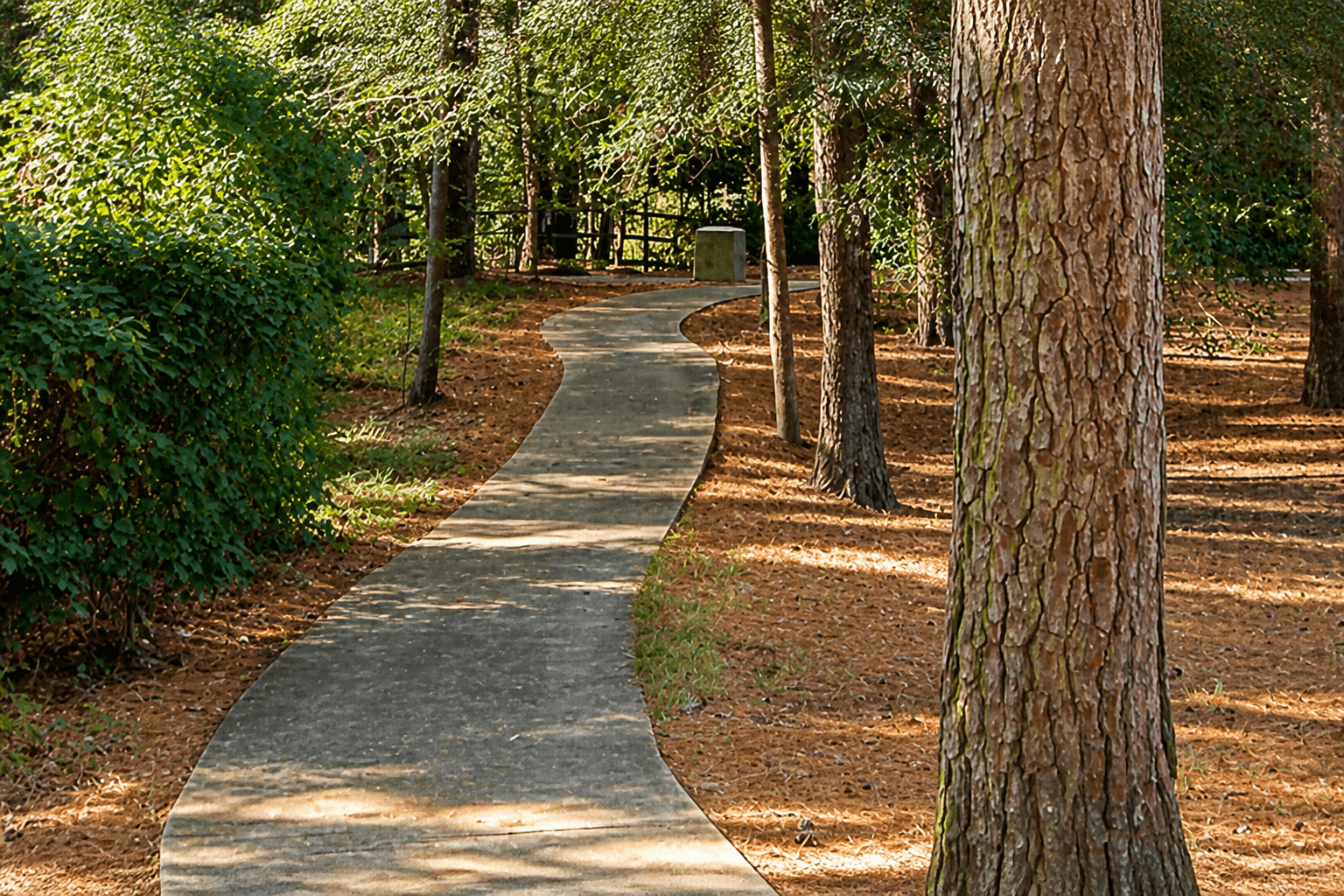 Tree-lined residential street in Great Neck, Virginia Beach