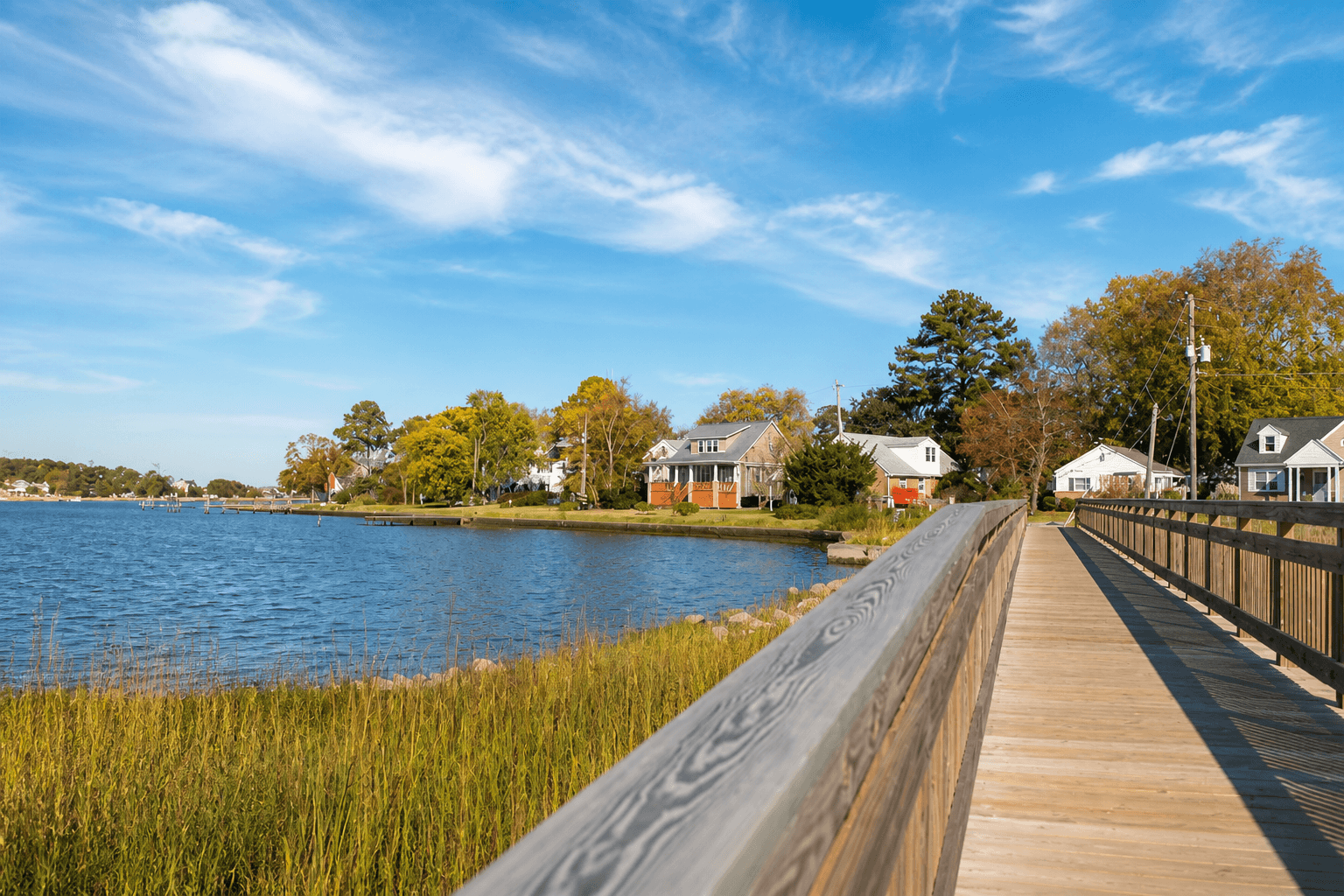 Family homes in Larchmont, Norfolk, Virginia