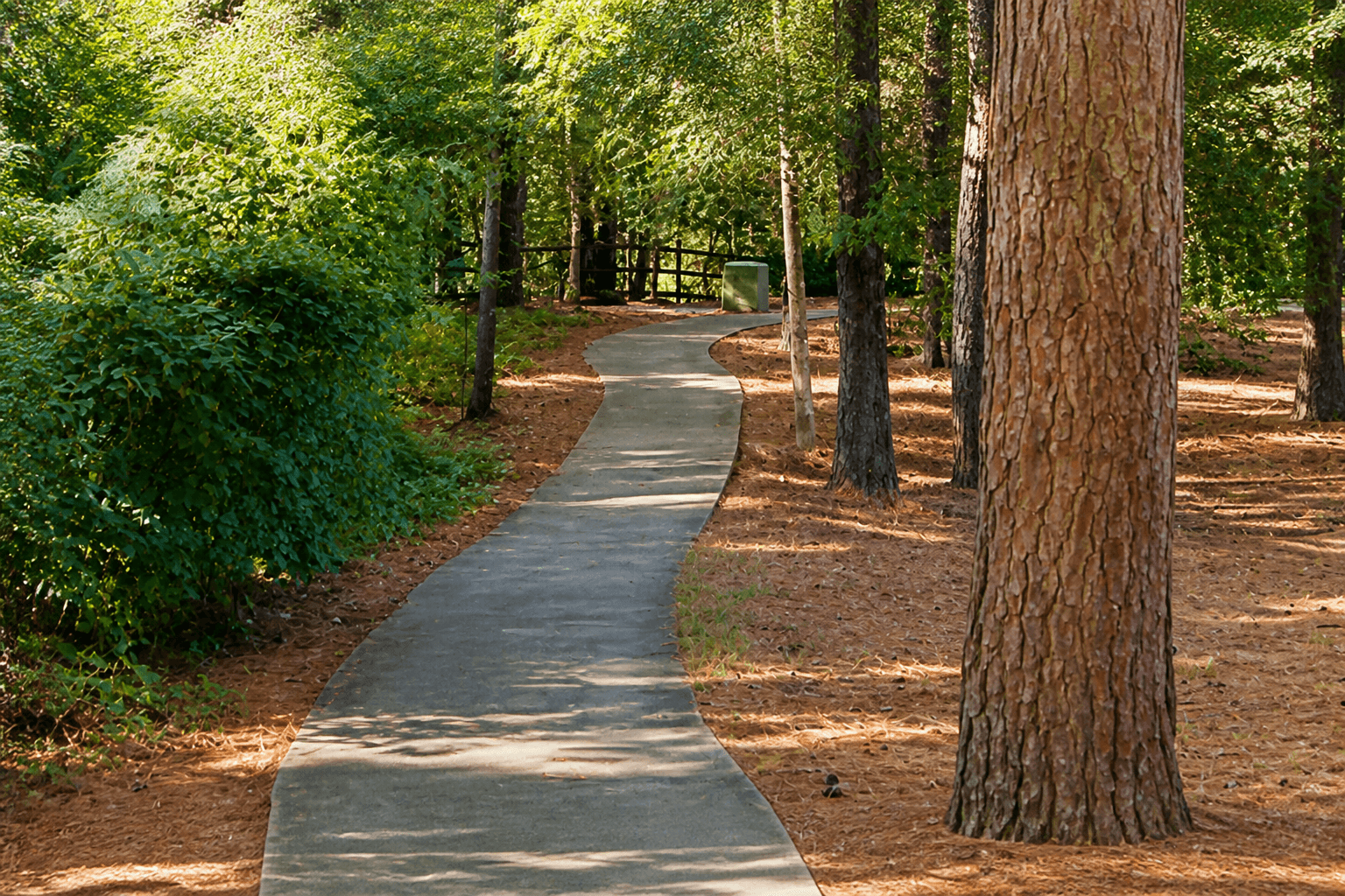 Tree-lined residential street in Great Neck, Virginia Beach