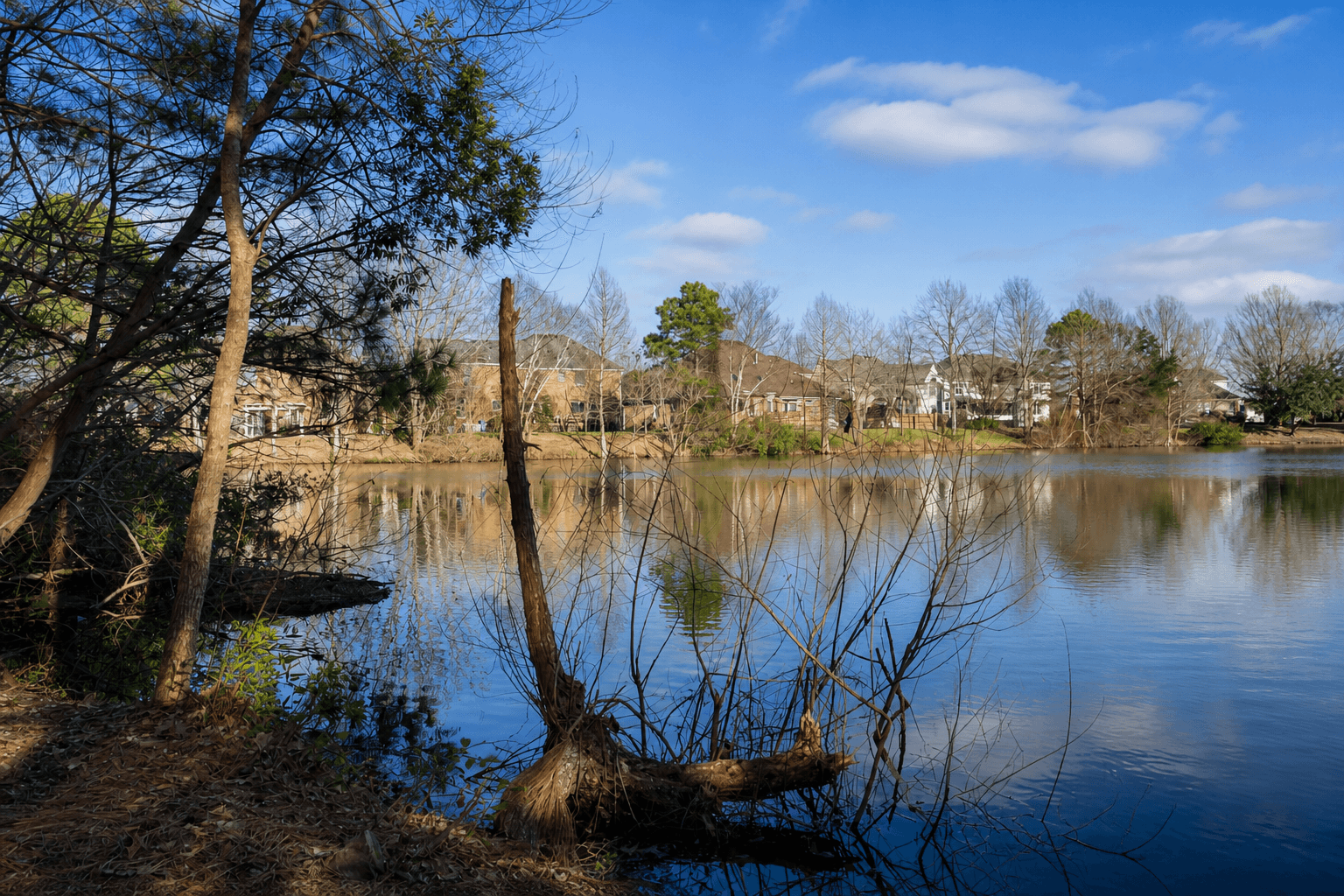 Waterfront homes in Great Bridge, Chesapeake