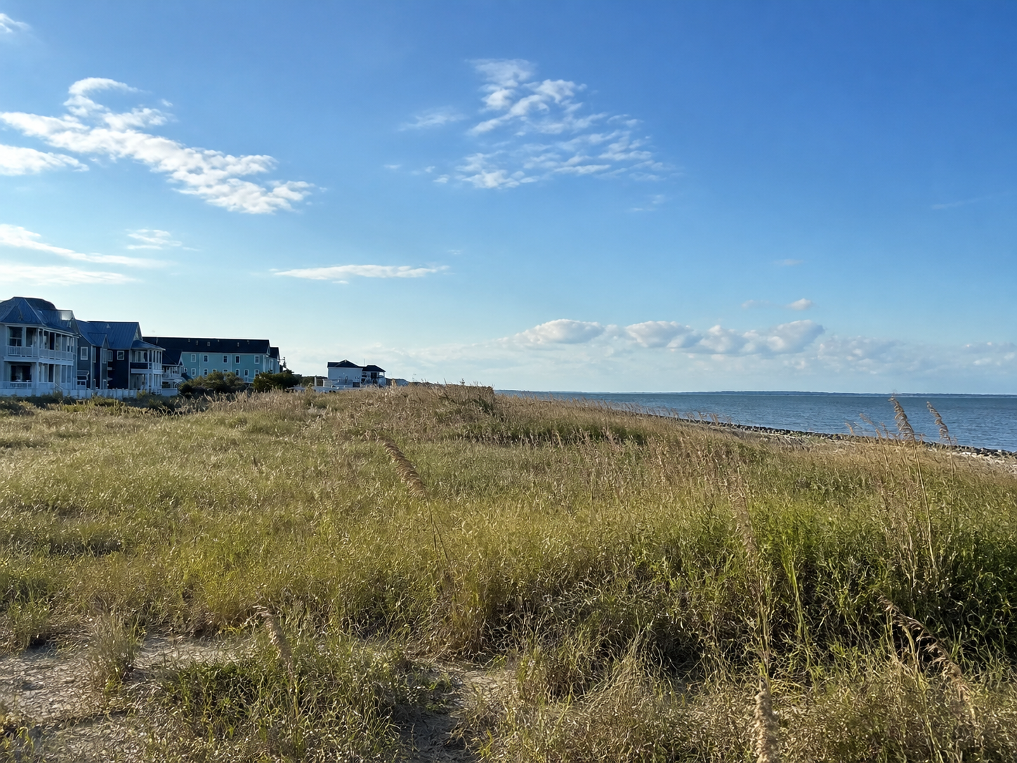 Chesapeake Bay shoreline at Ocean View, Norfolk